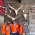 Why Choose Day Hunts in Texas for Your Next Outdoor Adventure?