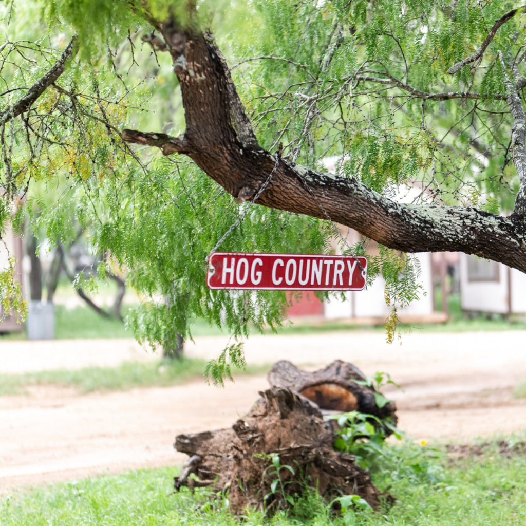 Why Do You Need a Knife for Hog Hunting Near Houston, Texas?