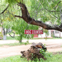 What Makes a Texas Hunting Getaway Worth Planning This Season?