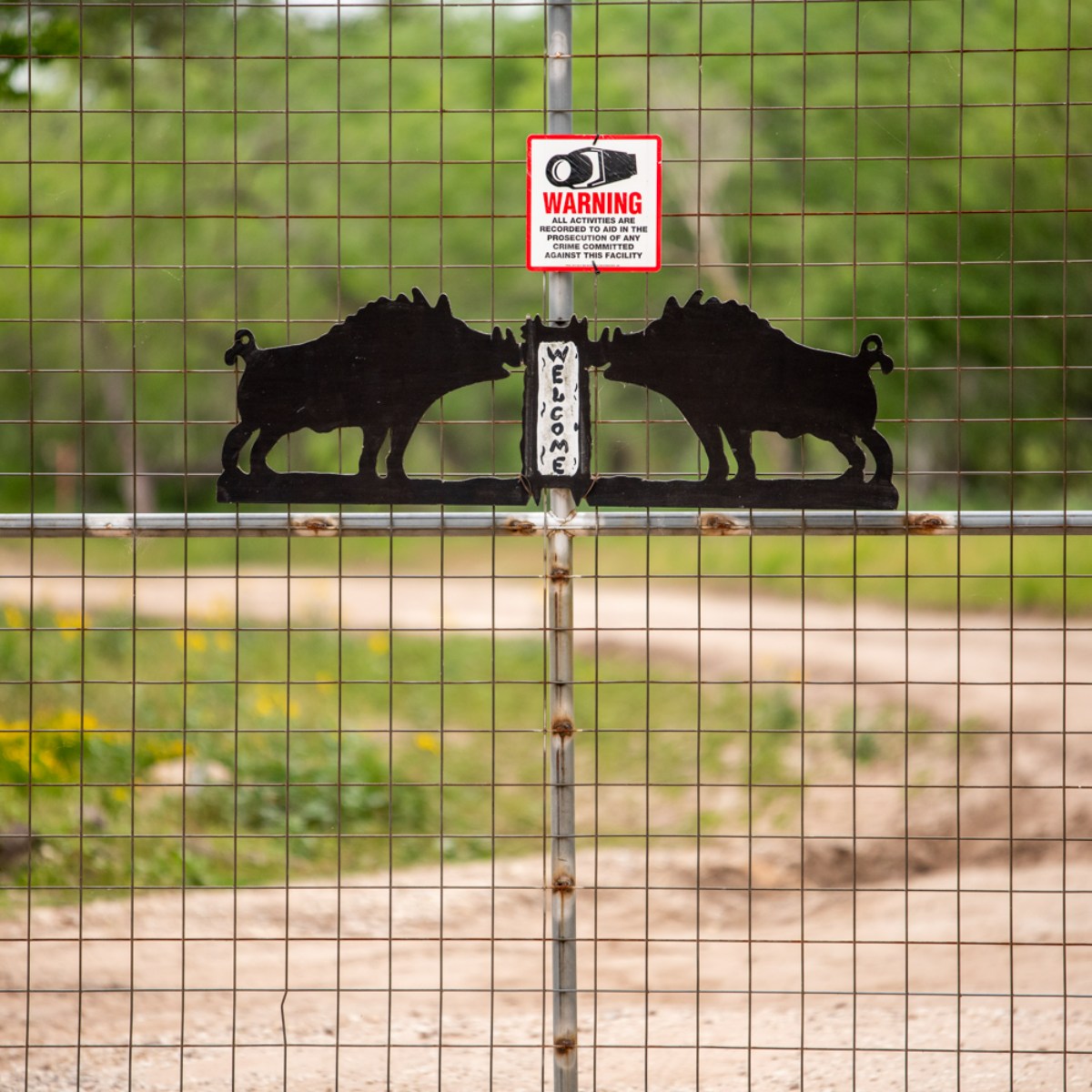 Where Are the Hidden Places to Hunt in Texas?