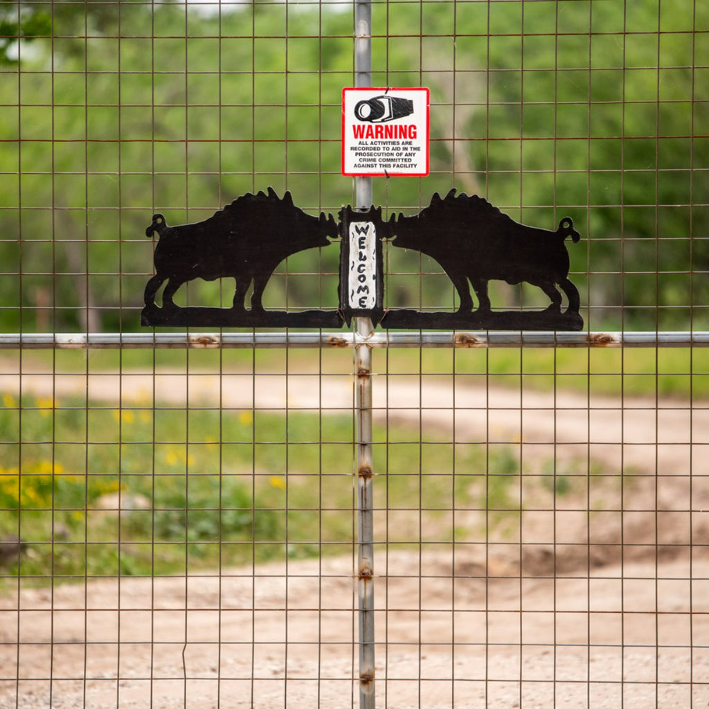 Where Are the Hidden Places to Hunt in Texas?