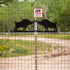 Where Are the Hidden Places to Hunt in Texas?