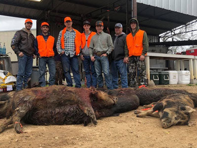 How Do South Texas Hunting Ranches Unlock Hidden Hunts?