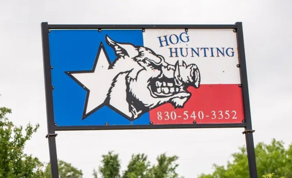 Why the Best Hog Hunting in Texas Starts Here?