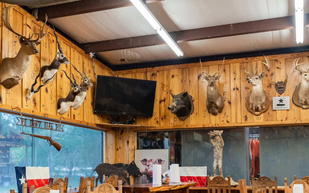 What to Expect From a Hog Hunting South Texas Adventure?