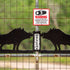 West Texas Hog Hunting Ranches: The Experience Beyond the Hunt