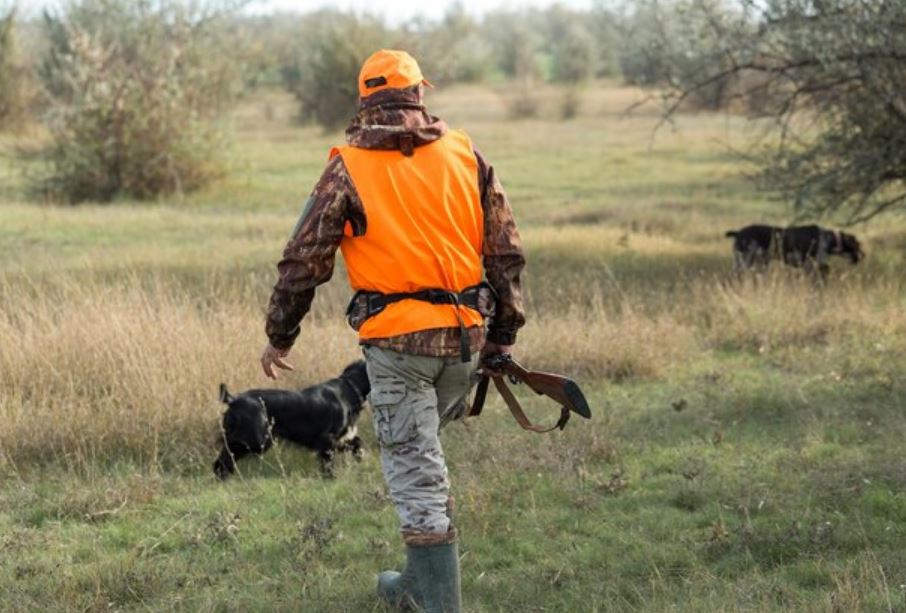 What Should You Not Carry During Wild Hog Hunting in Texas?