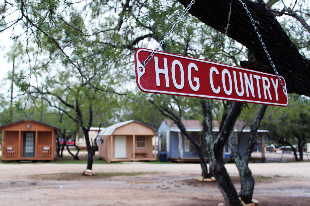 The Growing Demand for Professional Northern Texas Hog Hunts