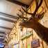 Let's Explore the Recovery Strategies For a Successful Hunt In Texas