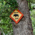 West Texas Hog Hunting Ranches: Why the Terrain Changes the Hunt