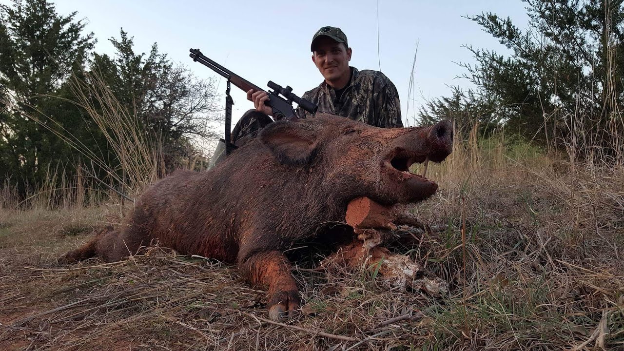 Get Ready For Your Next Big Adventure for Hog Hunting Near Austin, Texas