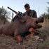 Get Ready For Your Next Big Adventure for Hog Hunting Near Austin, Texas