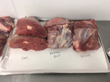 Bachelor Party All-Inclusive Hog Hunt Packages